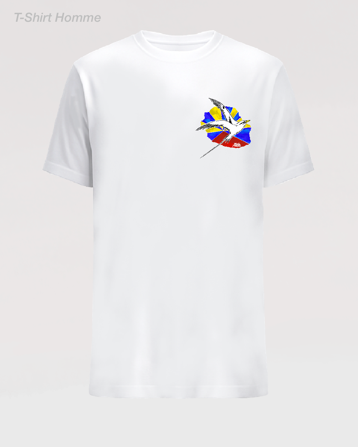 LE VOYAGE DU PAILLE EN  QUEUE