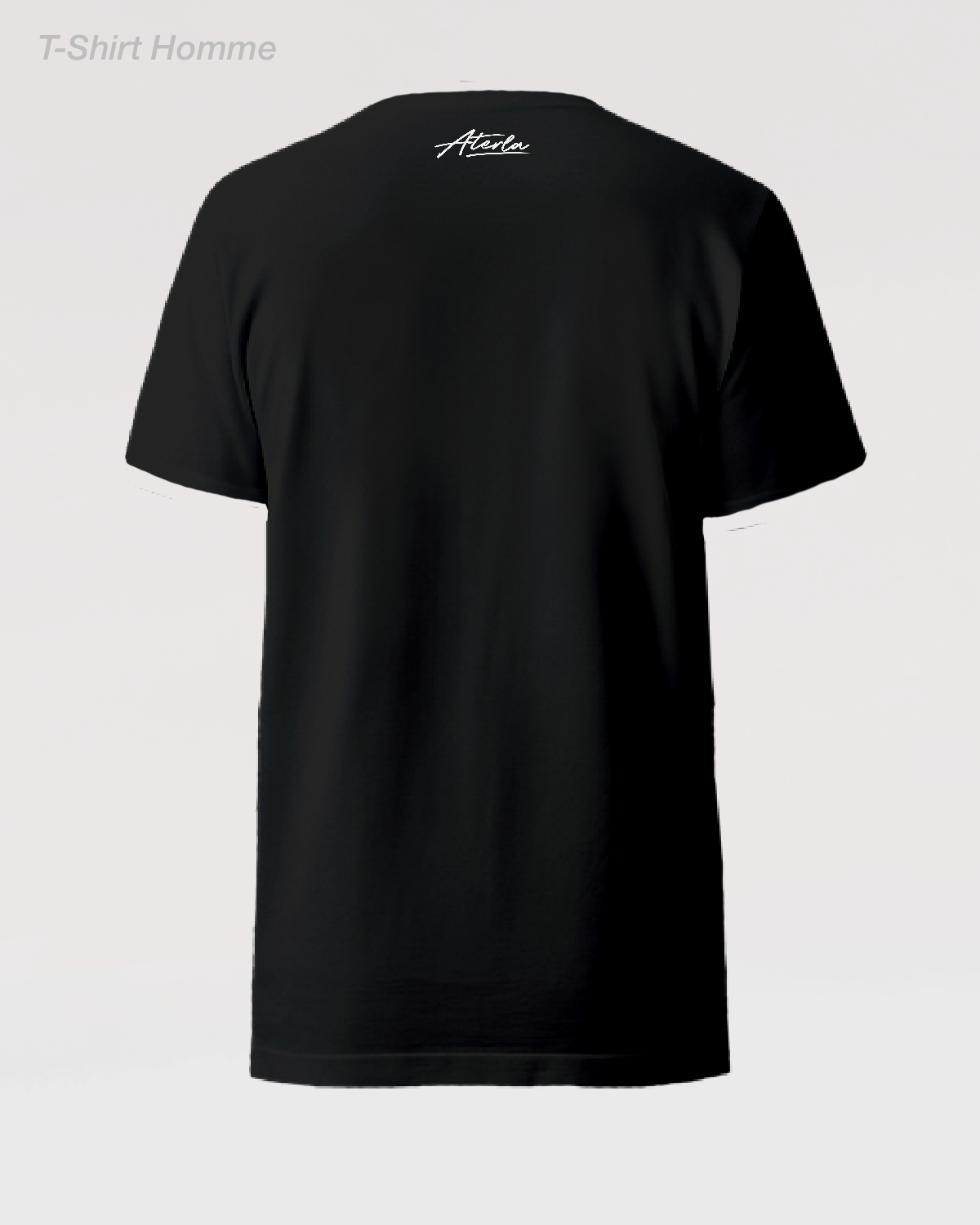 LE VOYAGE DU PAILLE EN  QUEUE