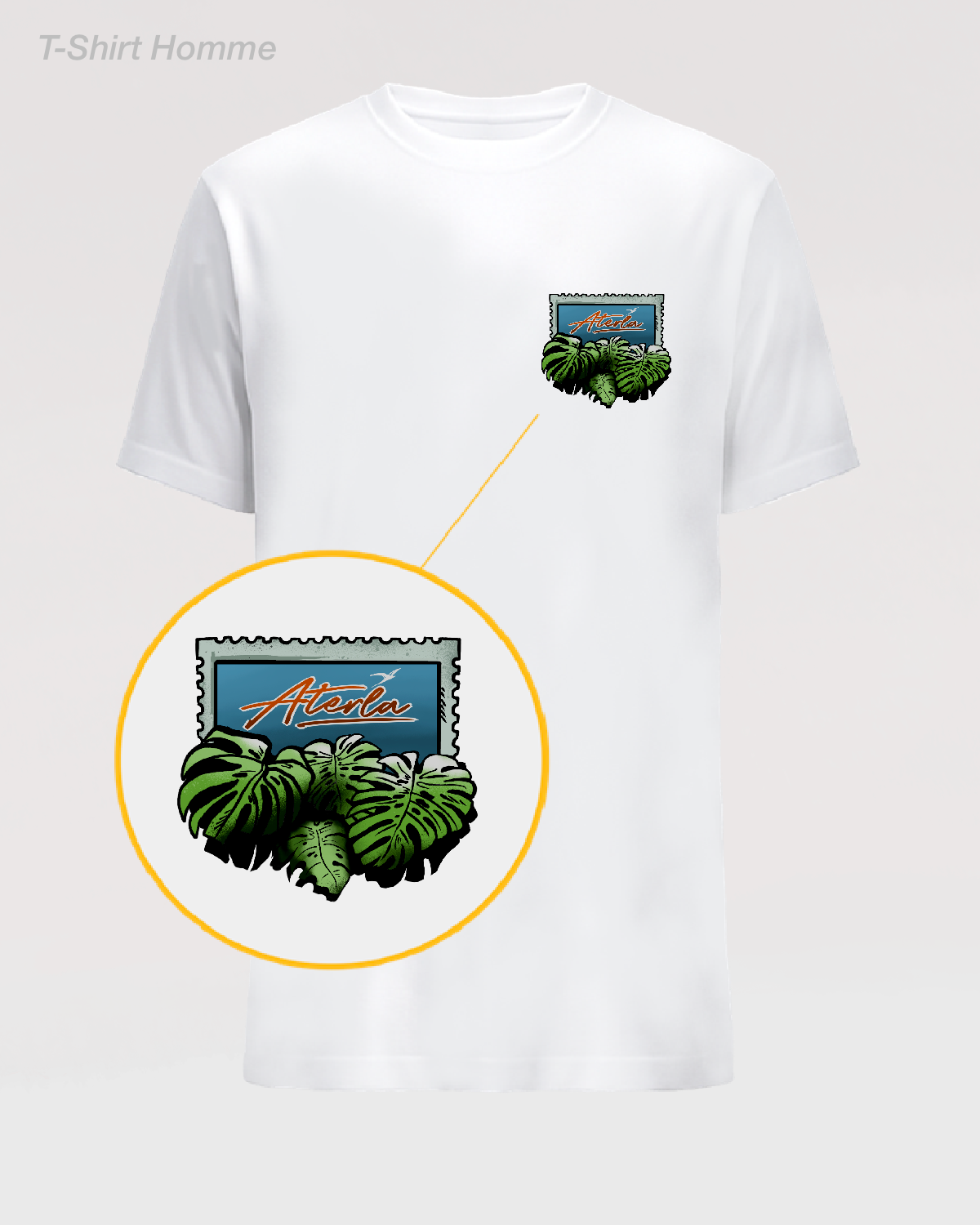 MONSTRERA ISLAND Original Green.