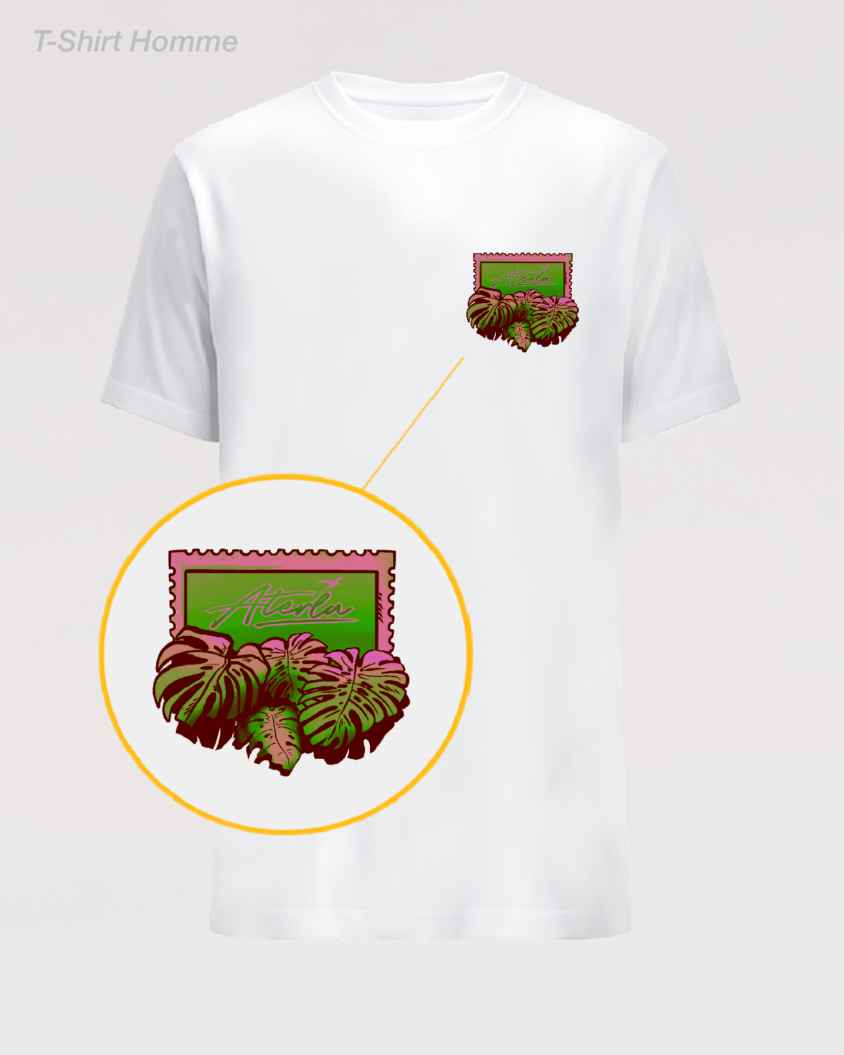 MONSTRERA ISLAND Original Pink