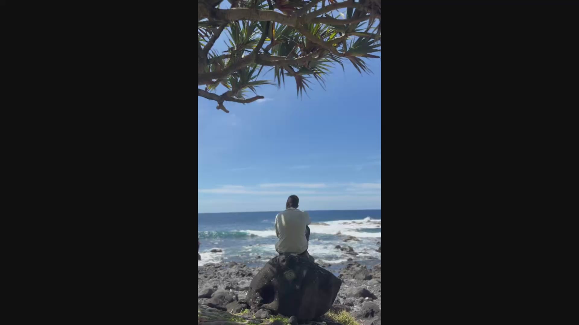 Charger la vidéo : 